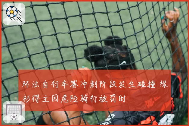 环法自行车赛冲刺阶段发生碰撞 绿衫得主因危险骑行被罚时