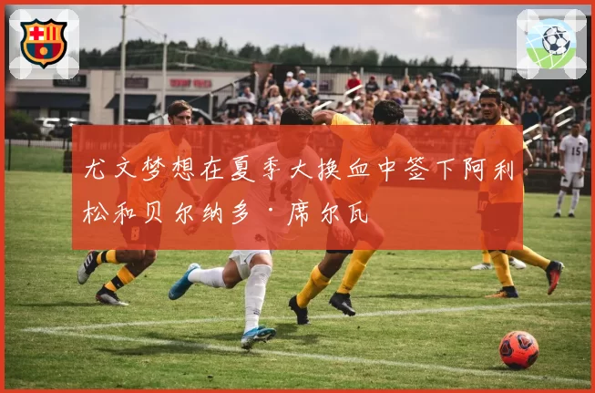 尤文梦想在夏季大换血中签下阿利松和贝尔纳多·席尔瓦